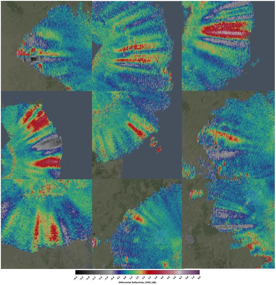 One Solid Year - Year in life of Brisbane Solid State Radar